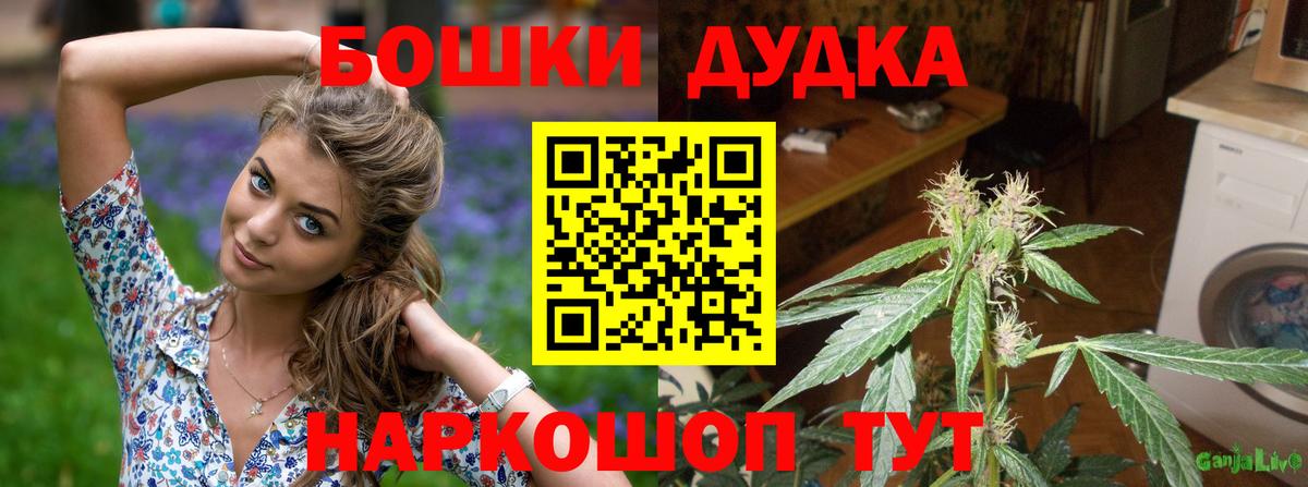 Бошки марихуана Bruce Banner Назарово